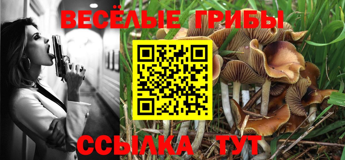 Галлюциногенные грибы MAGIC MUSHROOMS  Вход с VPN  Галлюциногенные грибы MAGIC MUSHROOMS  Воронеж 